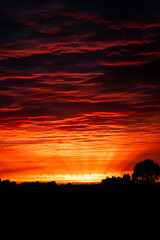 Red sunset over the Dutch countryside. Textured clouds are illuminated orange and red by the already set sun.