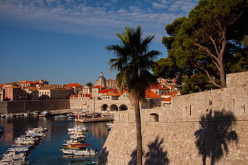 Dubrovnik, Croatia. View over the old town and the historic harbor from the castle with palm trees and blue sky.