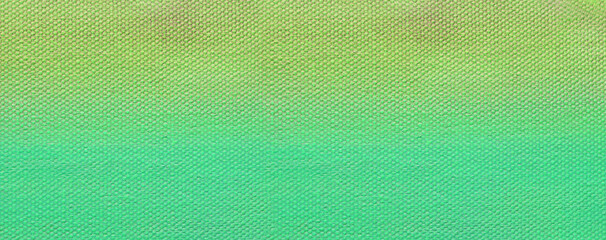 Oil on canvas. Close-up canvas cloth background.