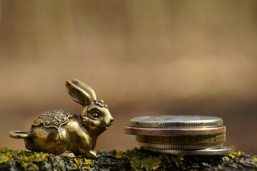 Rabbit figurine with coins close-up.