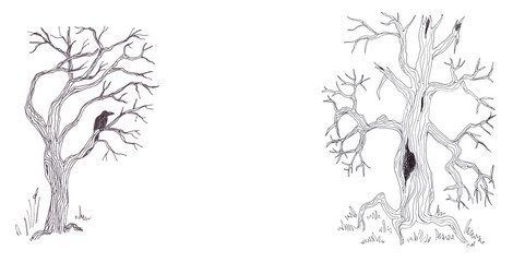 Illustration of  black and white halloween trees  isolated on white background - obrazy, fototapety, plakaty