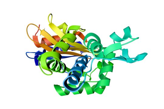 Crystal structure of the KPC-2 beta-lactamase in complex with hydrolyzed cefotaxime. Rendering based on protein data bank entry 5uj3. Rainbow coloring from N to C. 3d illustration