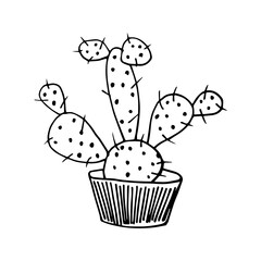 Cactus, peyote, Potted flower, House plant, hand-drawn, Hand-drawn doodles illustration