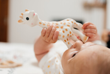 Baby chewing  toy teether giraffe