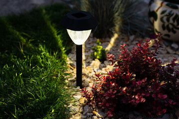 Small Solar Garden Light, Lantern In Flower Bed. Garden Design.