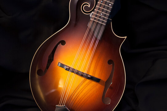 Close up of mandolin art