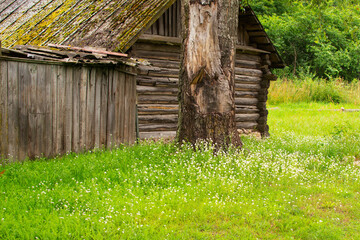 a rustic house with green grass. House in the village