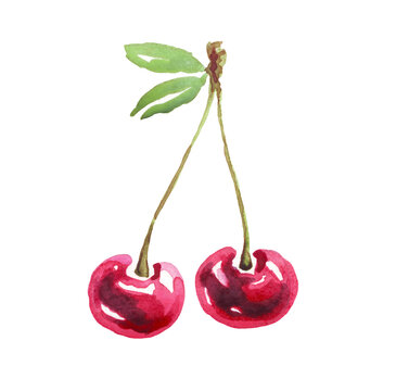 Cherry. Watercolor Clipart