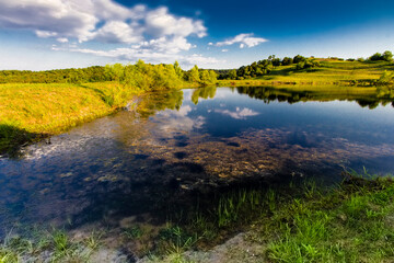 Pond out in the countryside during a summer day, Ohio - obrazy, fototapety, plakaty