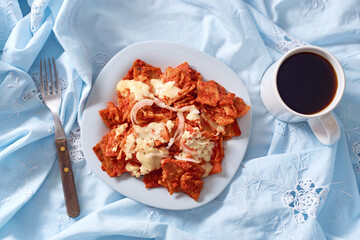 Plate of red chilaquiles on rustic background. Traditional Mexican dish.