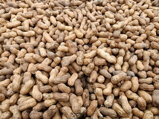 Peanut or groundnut harvested selling in market, brown 