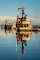 Pacific Northwest Scenic Landscapes