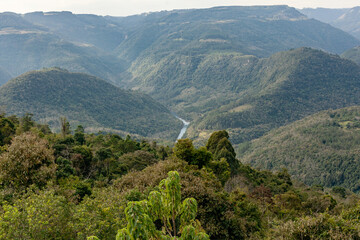 Beautiful landscape of Brazilian forests. Mountains and valleys with many trees.