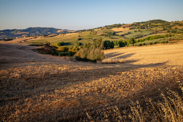 View of the fields near Tavullia in the Pesaro and Urbino province in the Marche region of Italy, at morning after the sunrise