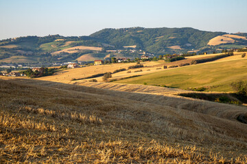 View of the fields near Tavullia in the Pesaro and Urbino province in the Marche region of Italy,...