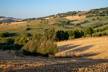 View of the fields near Tavullia in the Pesaro and Urbino province in the Marche region of Italy, at morning after the sunrise