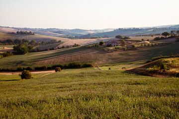 Fototapeta na wymiar View of the fields near Tavullia in the Pesaro and Urbino province in the Marche region of Italy, at morning after the sunrise