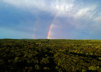 double rainbow over the forest