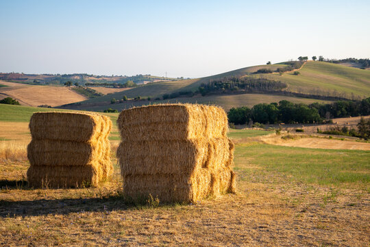 View of haystacks near Montegridolfo, Italy