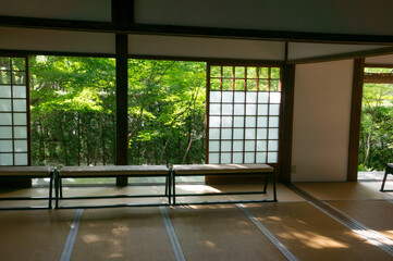 京都 夏の源光庵の美しい新緑と和の空間