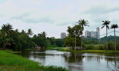 Fototapeta na wymiar Beautiful morning view from rivier banks of kerala kottayam