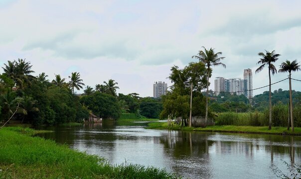 Beautiful morning view from rivier banks of kerala kottayam