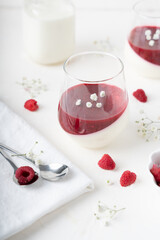Italian dessert with raspberries. Creamy panna cotta with berry confit. White background with dessert. Gypsophila decoration.