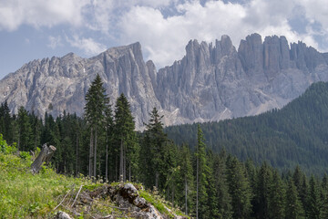 Fototapeta na wymiar Bosque y montañas Dolomitas en la región de Sudtirol, Italia