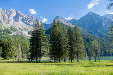 Fototapeta na wymiar Abetos y montañas en el Lago Antholzer en la región de Tirol del Sur, Italia
