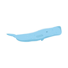 sperm whale icon