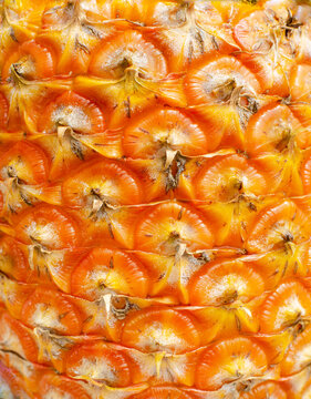 Close-up of a ripe pineapple peel. Macro