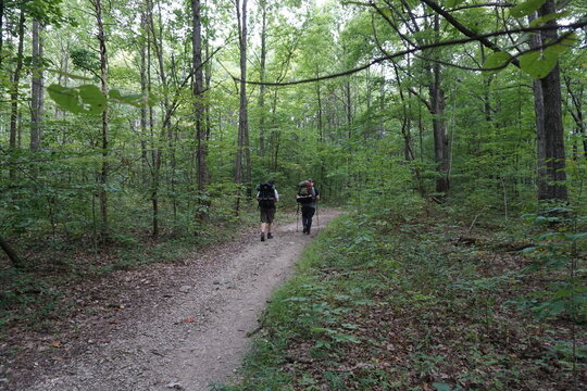 2 hikers on a trail