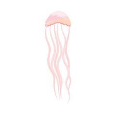 cartoon pink jellyfish