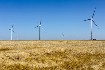 Energies renouvelables et développement durable - Eoliennes dans un champ de céréale sur fond de ciel bleu