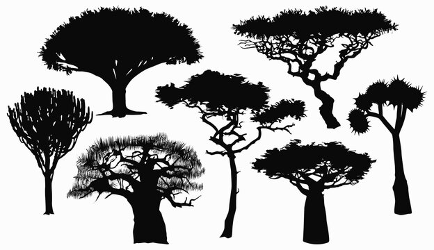 Collection with flat silhouettes of African trees.