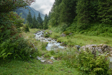 Obraz premium Wildbach aus einem Wald in den Bergen