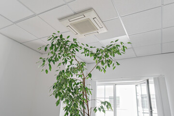 Cassette air conditioner on ceiling in modern light office or apartment with green ficus plant leaves. Indoor air quality and clean filters concept