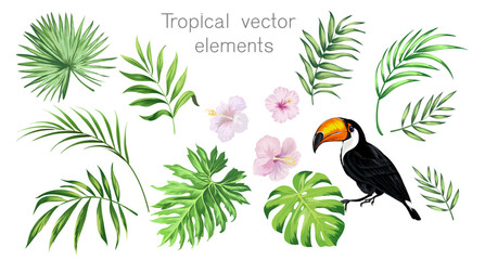 Fototapeta na wymiar Tropical vector set for summer beach design. Isolated elements on a white background. Palm leaves, exotic flowes, birds of paradise. 