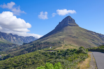 Fototapeta premium Lions Head mountain and green, natural landscape in Cape Town, South Africa. Outdoor hiking spot with blue sky backdrop and plants by a road. Beautiful view of nature while traveling.
