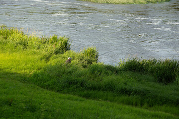 Macro River with green bankas, reflection of the sky, fishing.