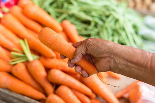 An old woman selects a single carrot to buy at a public market. A hand holding a medium sized carrot with many vegetables in the background.