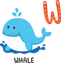 Crédence de cuisine en verre imprimé Baleine Illustration Isolated Animal Alphabet Letter W-Whale