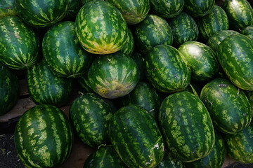 Heap of ripe watermelon fruit at market or supermarket boxes. Farm produce sale.