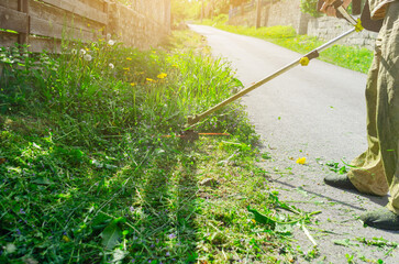 Cordless garden trimmer mows the grass near the fence