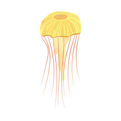 cartoon yellow jellyfish design