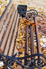 fallen autumn leaves on a park bench