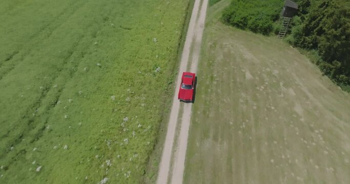 Dynamic Cinema Drone shoot follows a red 67' construction year Buick Riviera, driving on a dirt road, right next to a forrest on a hot summer day.