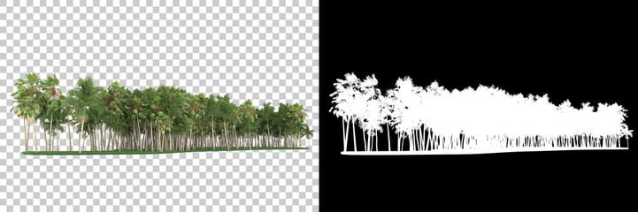 Palm tree island isolated on background with mask. 3d rendering - illustration