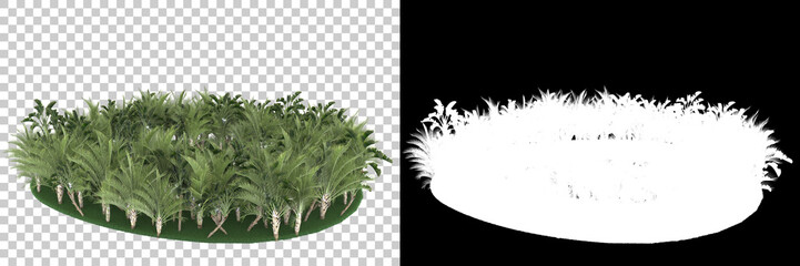 Palm tree island isolated on background with mask. 3d rendering - illustration