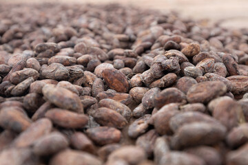 cacao beans background